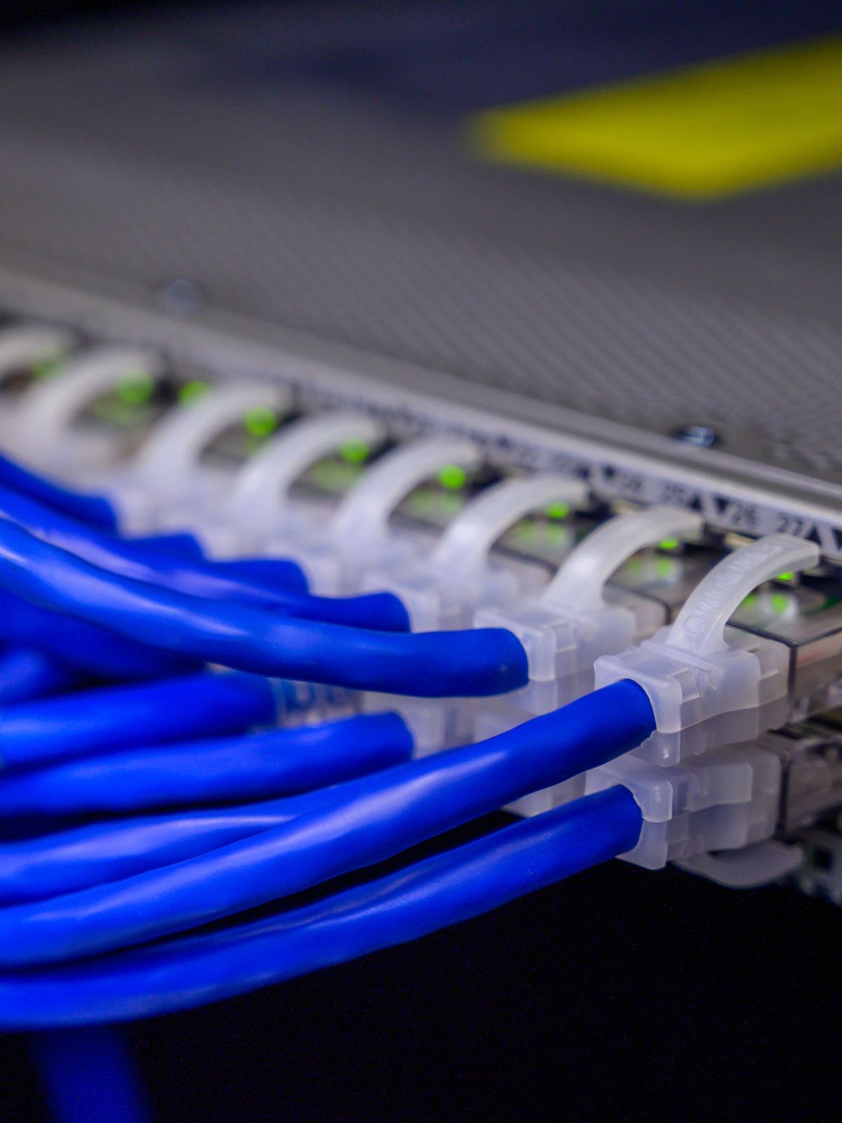 Blue Cat6 patch cords plugged into a rack-mounted switch, link lights lit and port numbers printed along the panel.